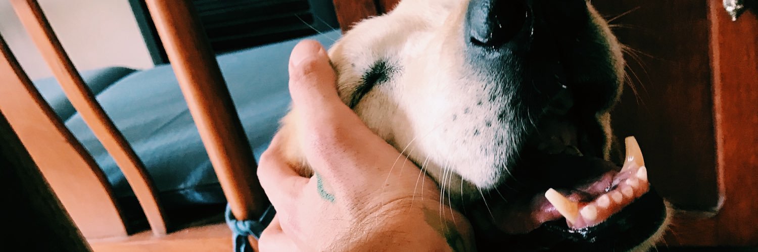 FacundoBes's profile banner image