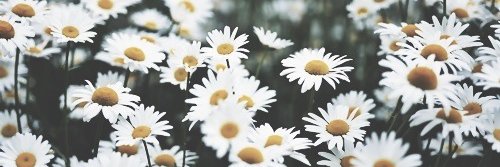 _RatnaNengsih's profile banner image