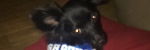 vlopezzz's profile banner image