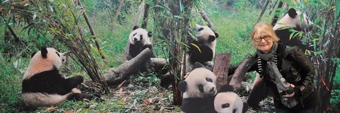 Frances sez 💙🐼💙 banner