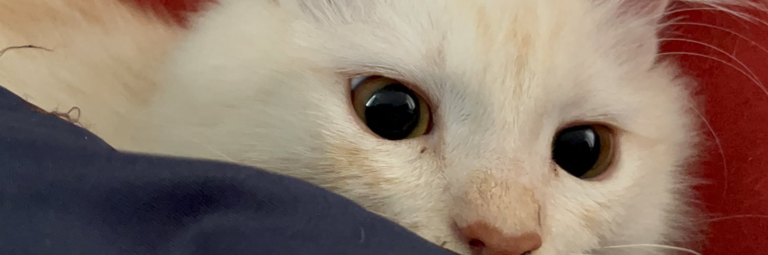 thisismunan's profile banner image