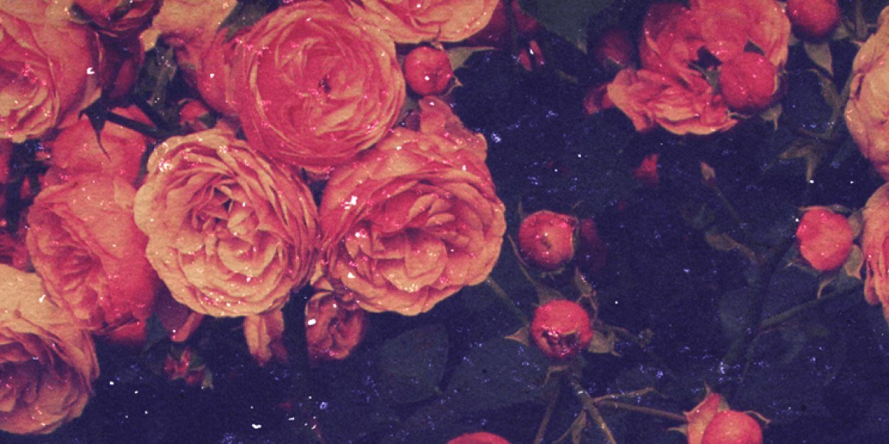 Cxnzmildd's profile banner image