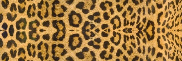 rerbilania's profile banner image