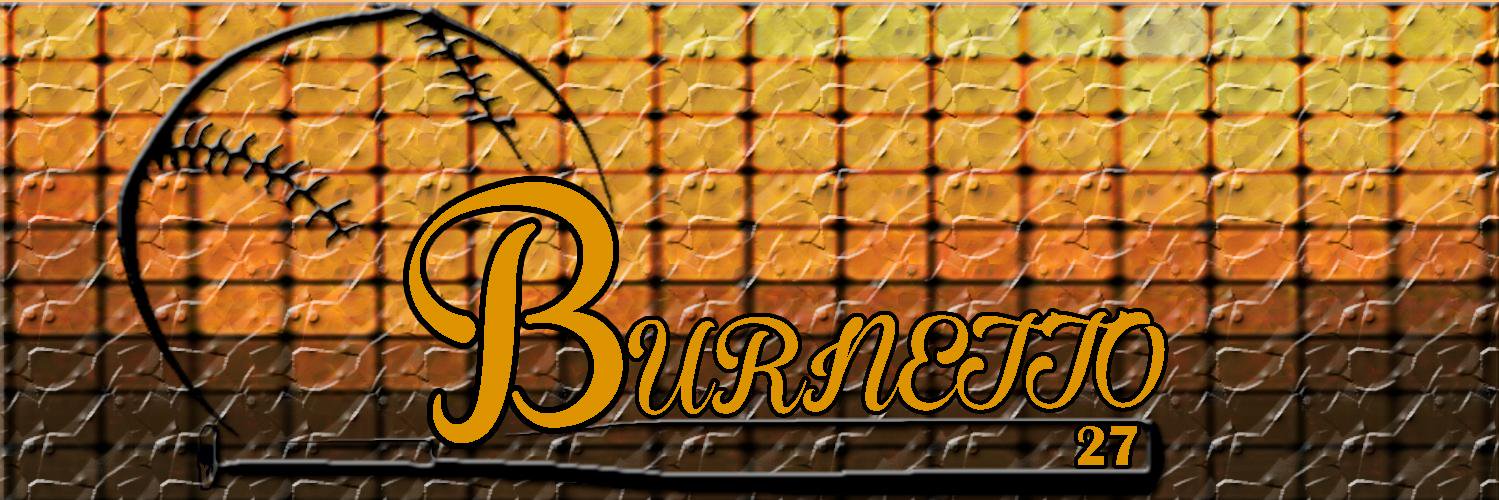 Luis Burnett banner