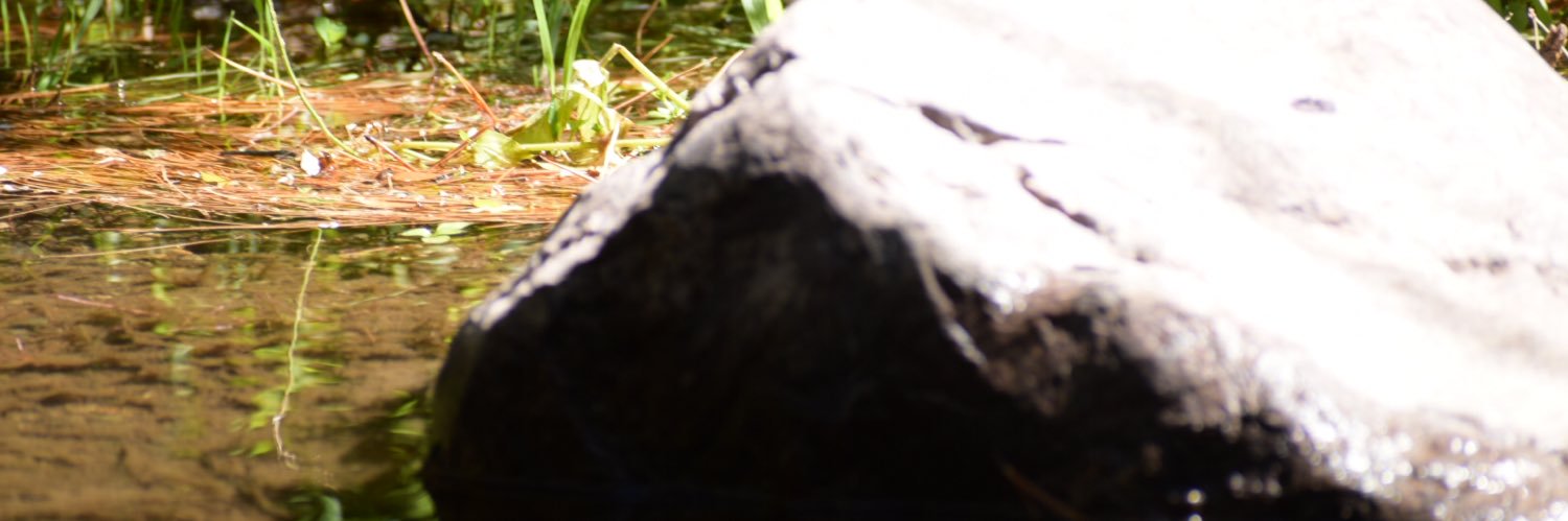 Crosscriis_'s profile banner image