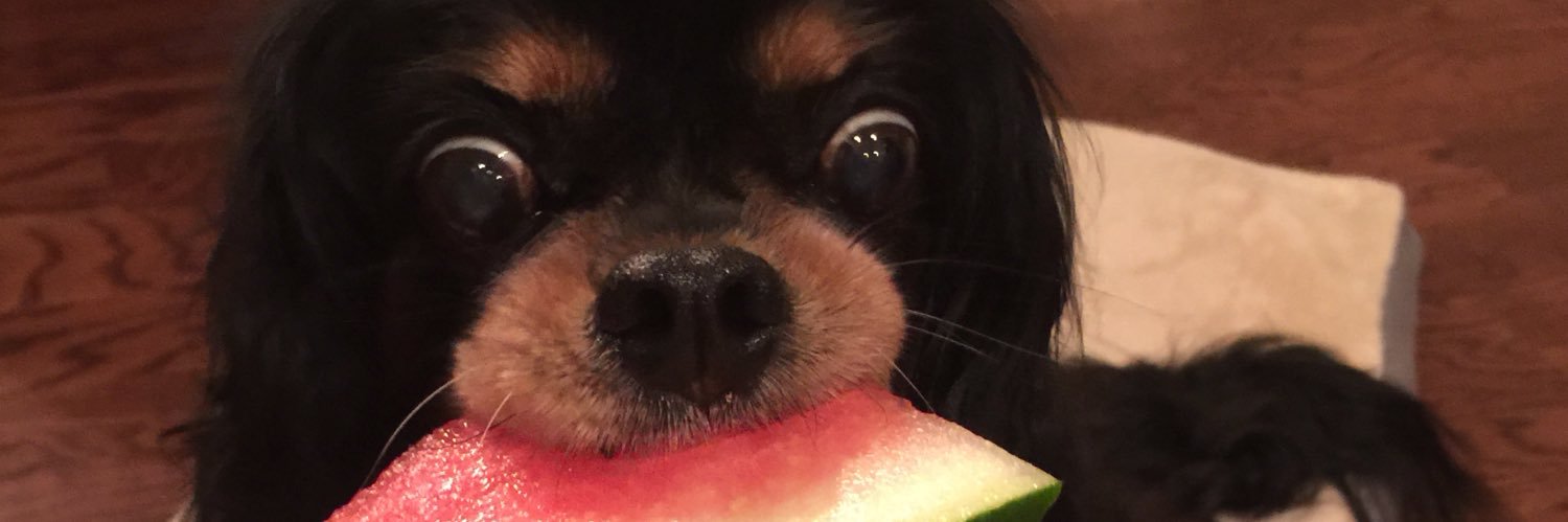 KateVDaniels's profile banner image