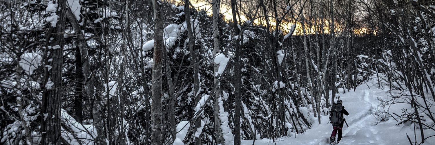eddymochtar's profile banner image