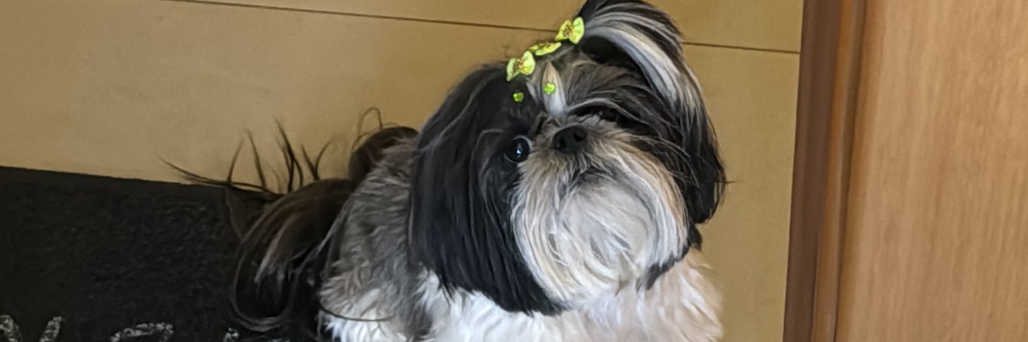 izabelicp's profile banner image