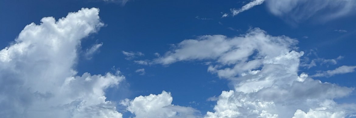 JS banner