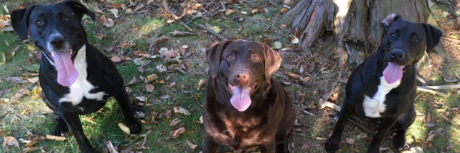 Kevin Johnson banner