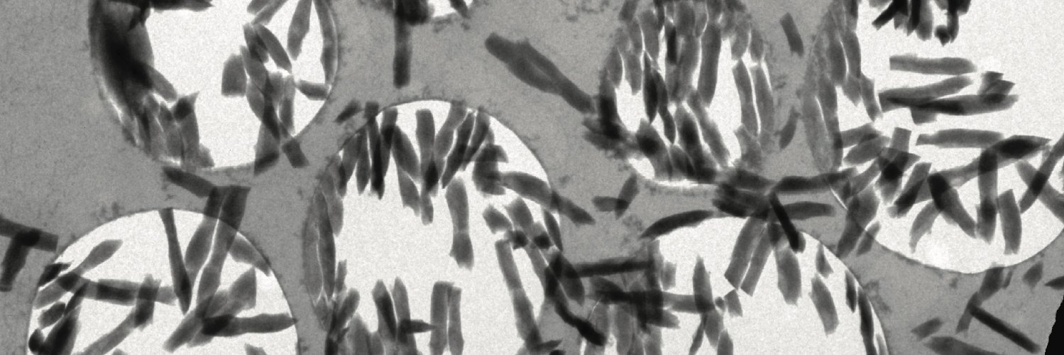 emistoops's profile banner image