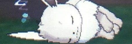 uiraxd's profile banner image