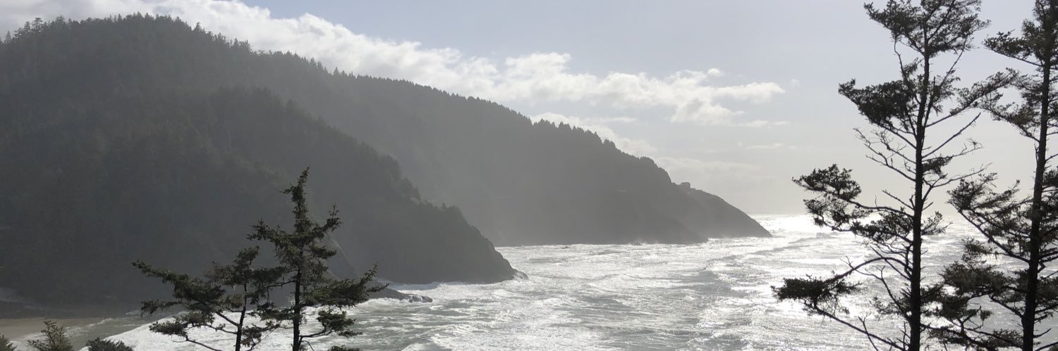 saprow68's profile banner image