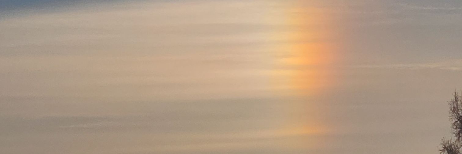 connieplatt's profile banner image