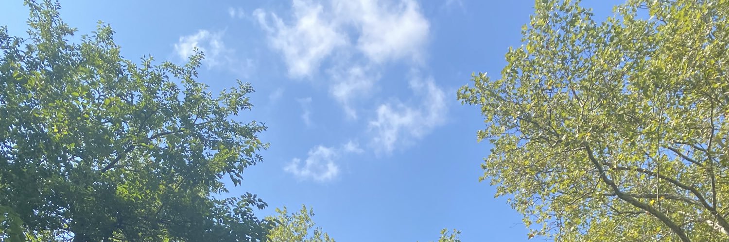 USARED89's profile banner image