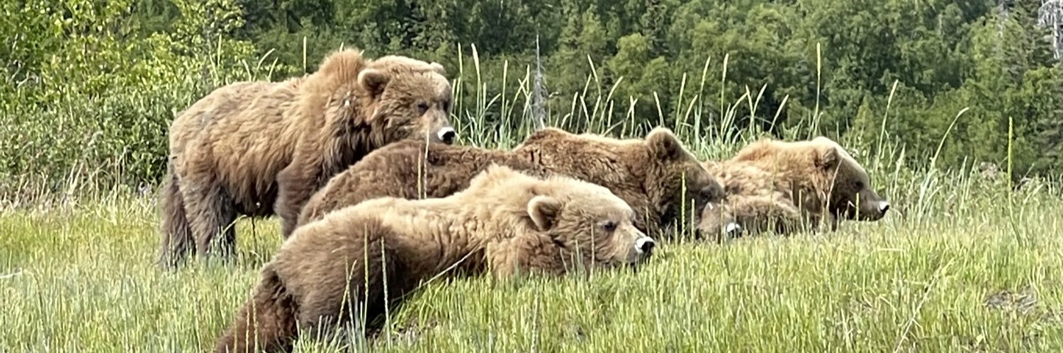 Heidi Morris. God Loving American Patriot💥💥💥 banner
