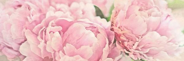 balqisad's profile banner image