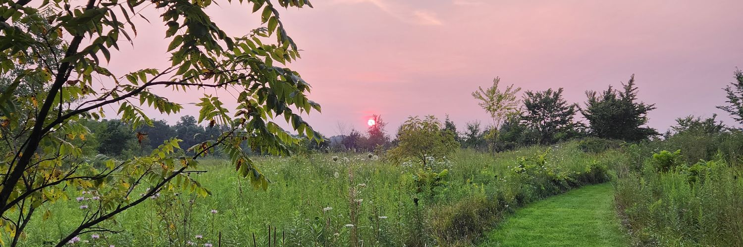 Mellow 🦖🦴 🔜 AC MFF 2025 banner