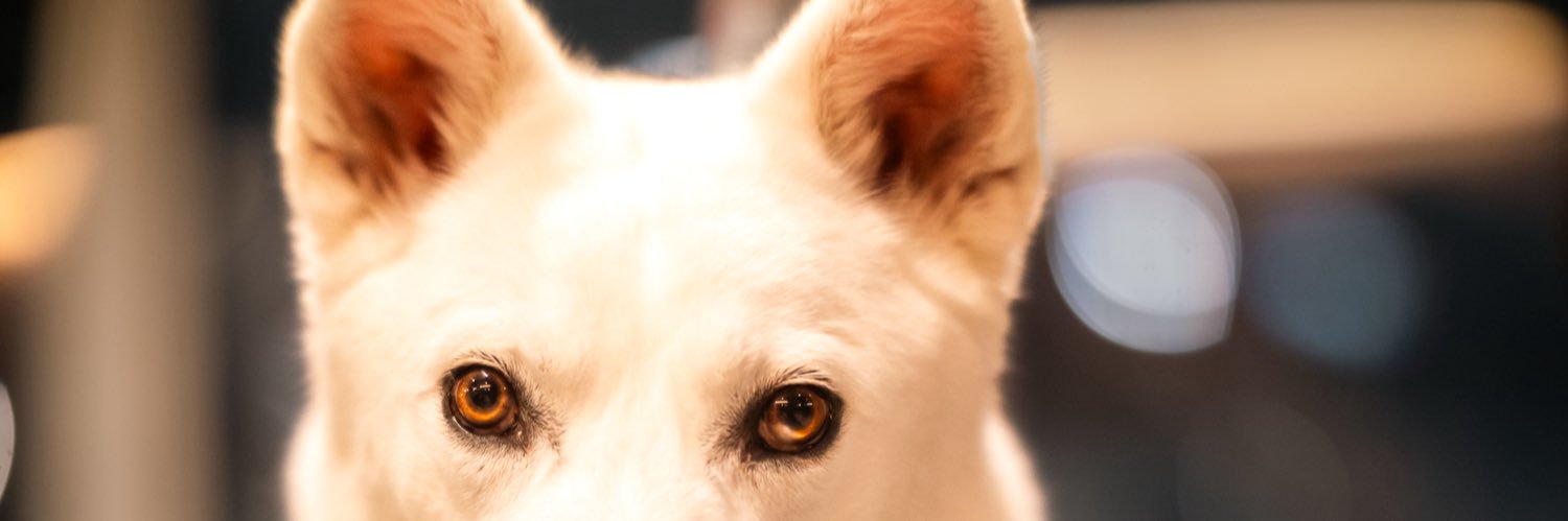 TopherDuggan's profile banner image
