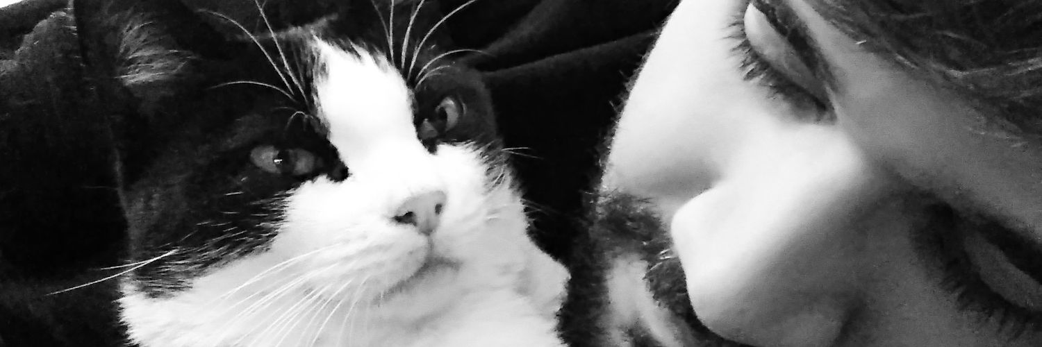 pavitim's profile banner image