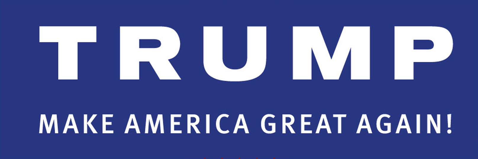 SammyTrumpCat's profile banner image