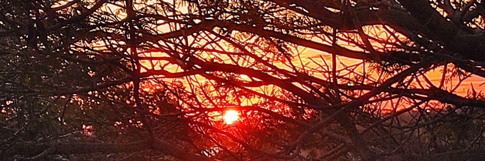 MagalunaB's profile banner image