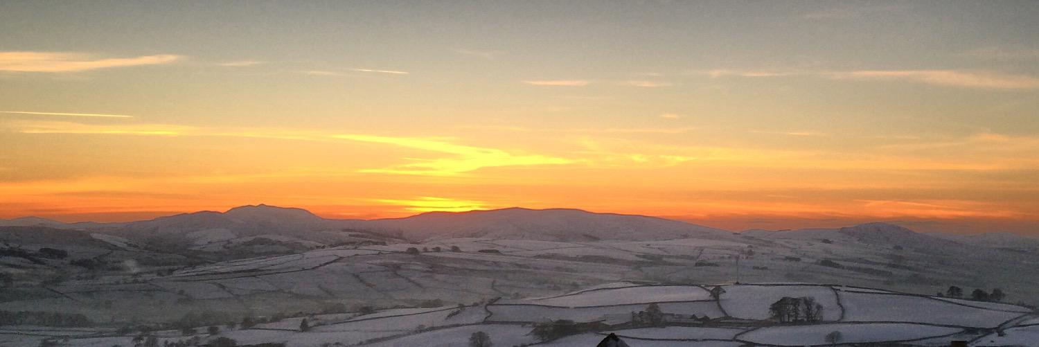 DylanNorton1's profile banner image