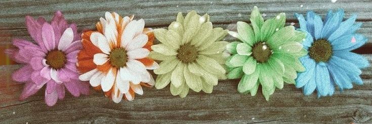 krismel18's profile banner image