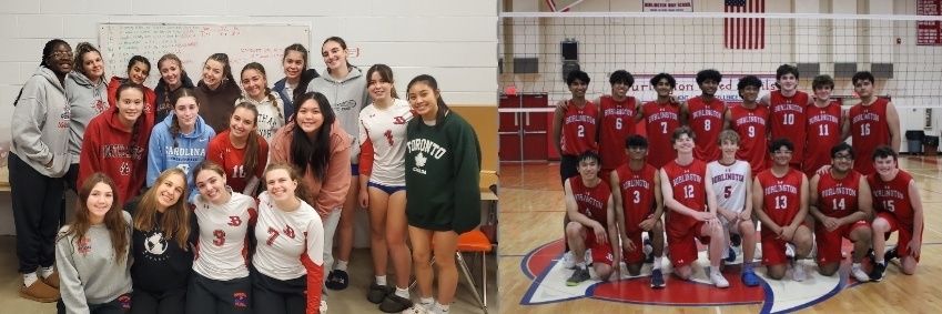 BHSdevilsVolley banner