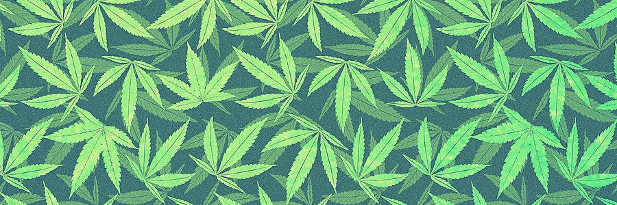 GratefulMedsSpr's profile banner image