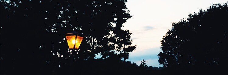 TheHannaas's profile banner image