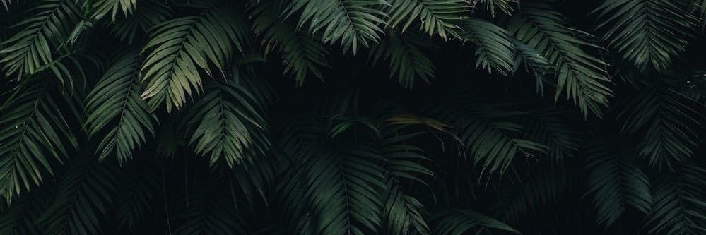 briggethqb's profile banner image