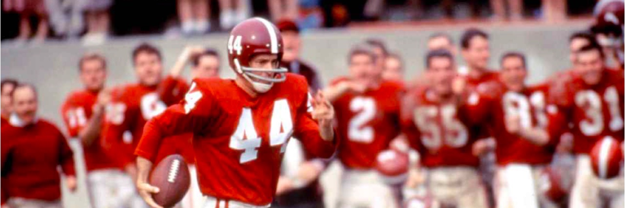 Ari ❤️🇺🇸🇧🇷🇸🇷✡️☮️ banner