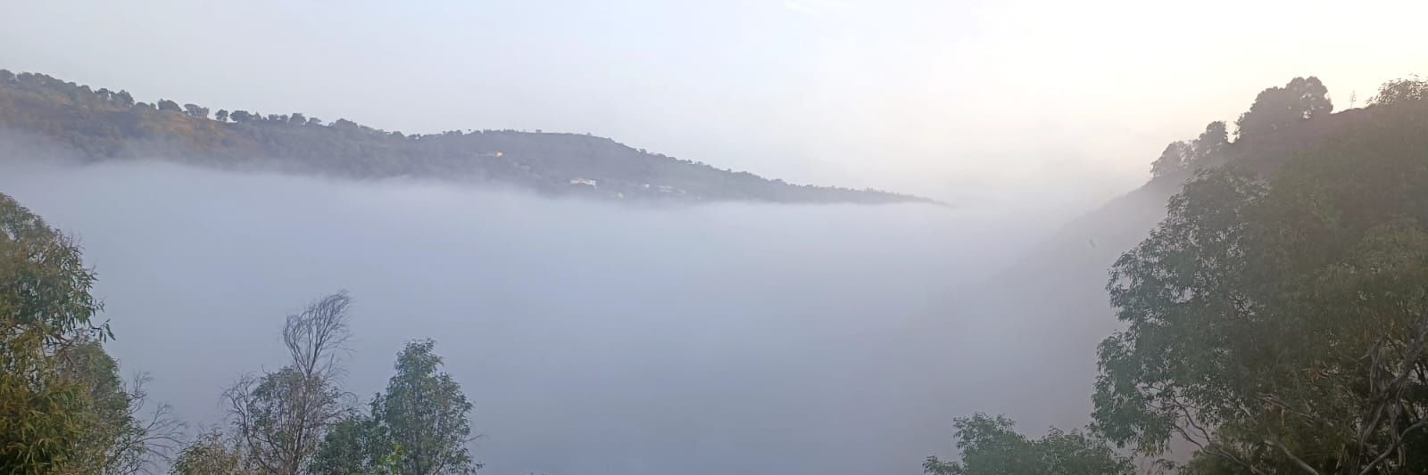 🇮🇨 de Gran Canaria.... banner