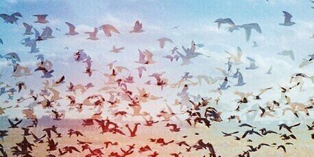 julia_vredinka's profile banner image