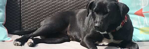 nmcremins Profile Banner