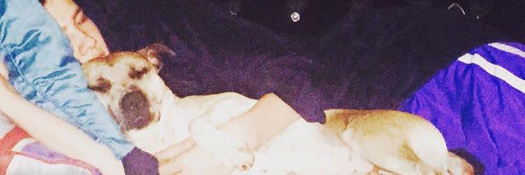 Lott_Jenko's profile banner image