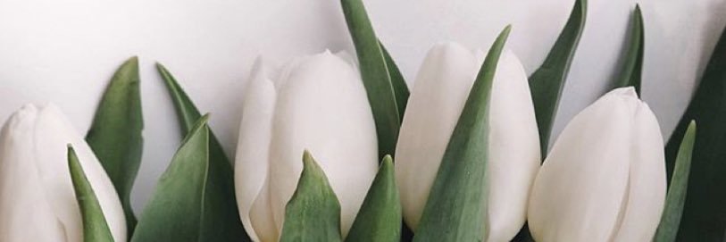 athenaisf's profile banner image