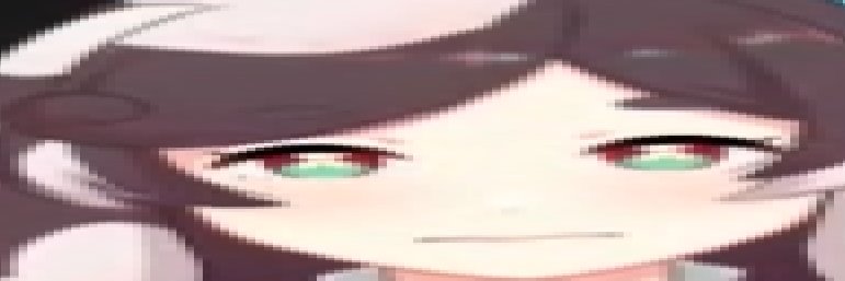 🏳️‍⚧️ sob p febs! 🐰🕊️ banner