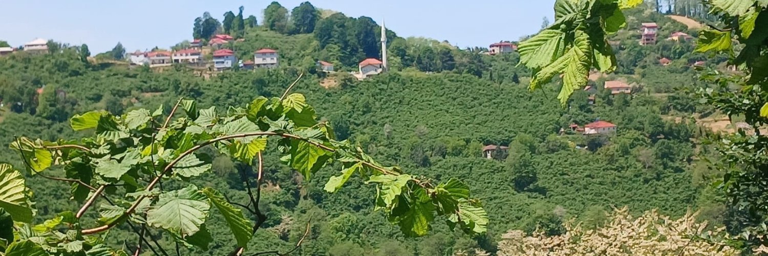 erdoganaydin1's profile banner image