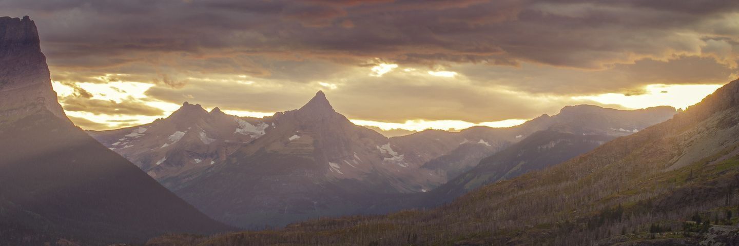 iddax's profile banner image