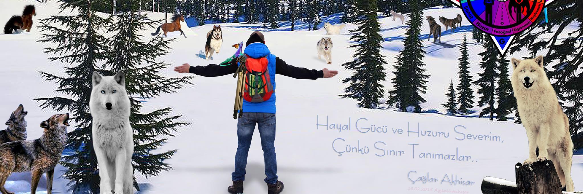 CaglarAkhisar's profile banner image