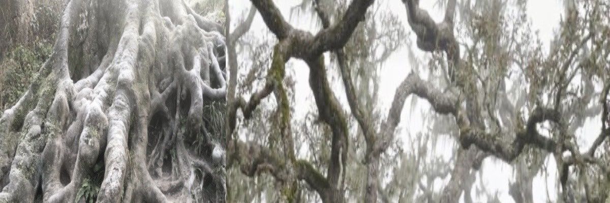 evilwigger666's profile banner image
