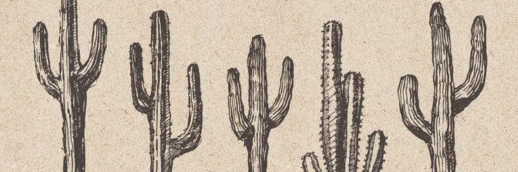 xryanowens's profile banner image