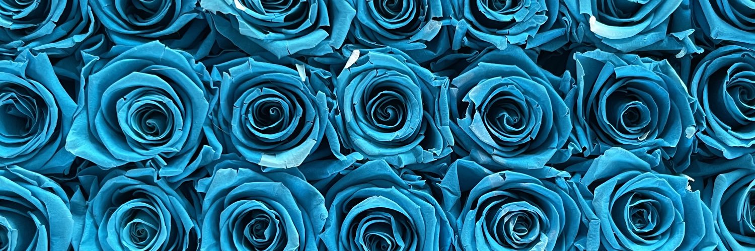 thatguyCG's profile banner image