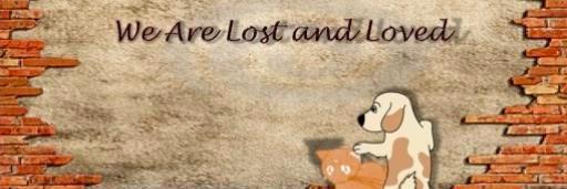 wallpetslost's profile banner image