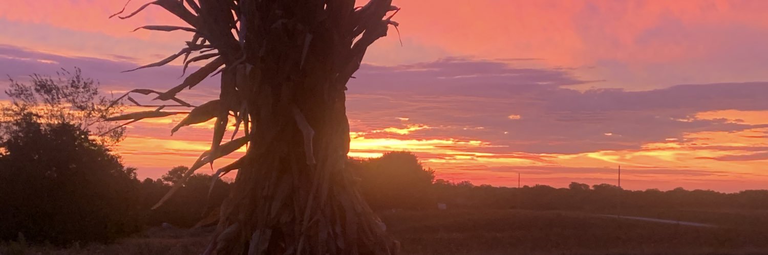 seedman78's profile banner image