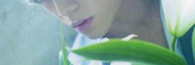 star_Message's profile banner image