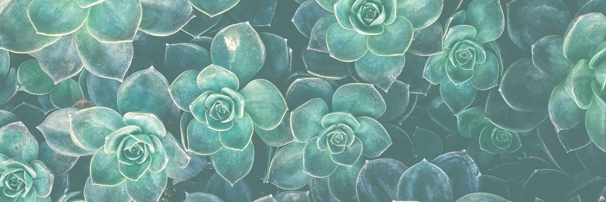 azhimi_cl's profile banner image