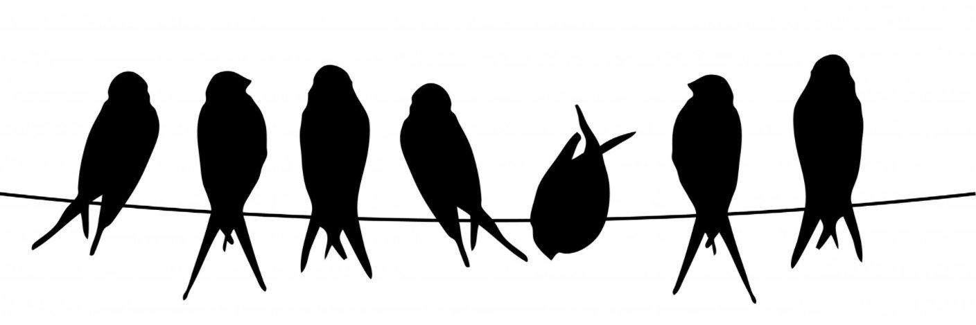 LCoxMPH's profile banner image